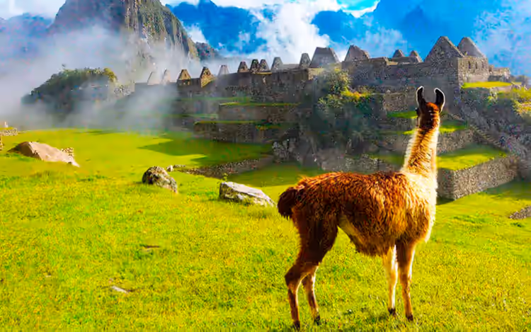 Caminata Ancascocha a Machu Picchu - 5D/4N